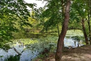 Ebbelwoi, Waldbiotope & Dünen am Stadtrand – Eine geführte E-Bike Tour in Frankfurts Süden