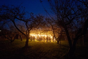 Fackelwanderung mit Apfel-Raclette – wildromantische Obstwiesentour und geselliger Winterschmaus