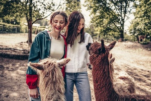 Alpaka- und Lamawanderung “Into the Woods” –  1 Alpaka für 2 - zwei Stunden Auszeit vom stressigen Alltag