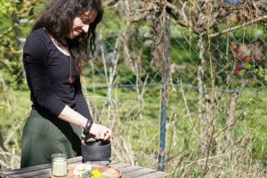 Wildkräuter kulinarisch nutzen – Kreative Rezepte aus der Natur entdecken