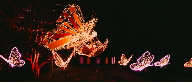 LUMAGICA  im Schlosspark Philippsruhe: